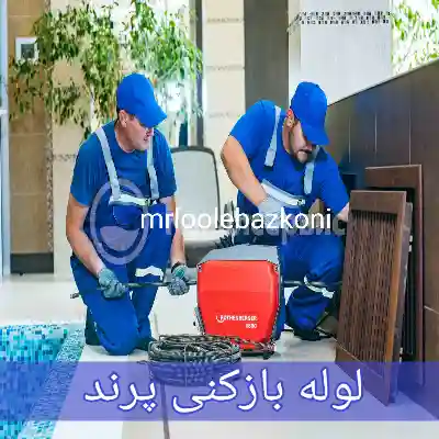 لوله بازکنی پرند