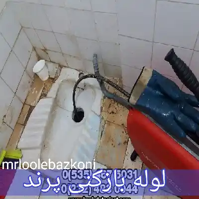 لوله بازکنی پرند