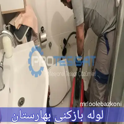 لوله بازکنی بهارستان