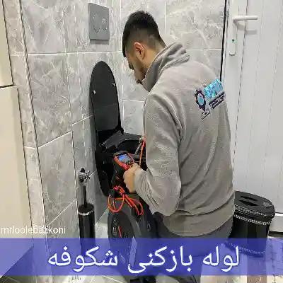 لوله بازکنی شکوفه