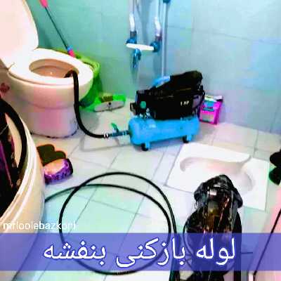 لوله بازکنی بنفشه